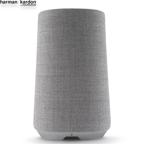 Loa Harman Kardon Citation 100 4